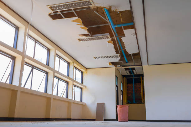 Best 24/7 water damage repair  in Mino, CA