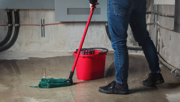 Best Water damage restoration near me  in Mino, CA