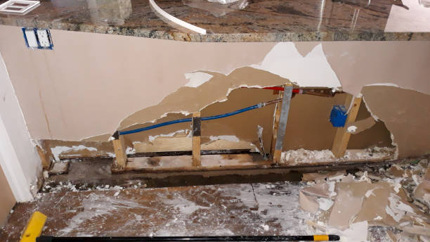 Best Flood restoration services  in Mino, CA