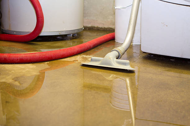Best Sewage cleanup and water damage restoration  in Mino, CA