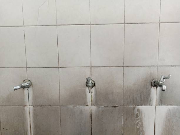 Best Emergency water damage restoration  in Mino, CA