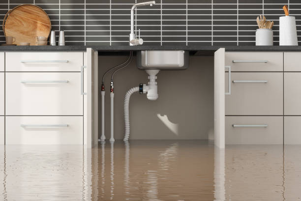 Best Flooded house restoration  in Mino, CA
